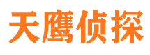 东风市侦探公司